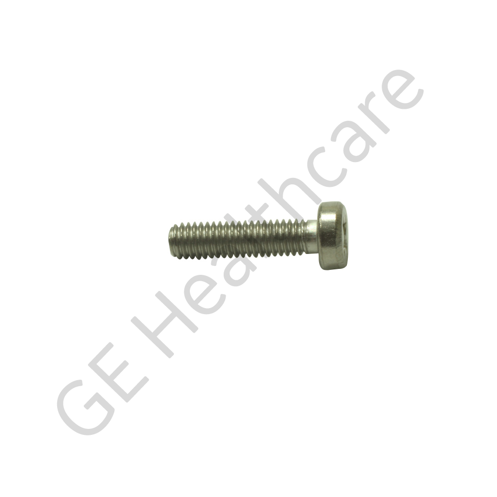 Screw, M3 X 12 Cheese Head Phillips Stainless Steel